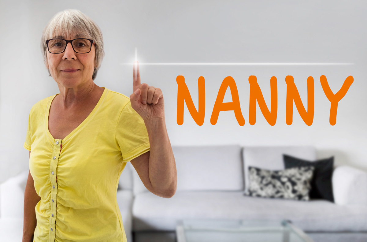 Nanny Tax Image
